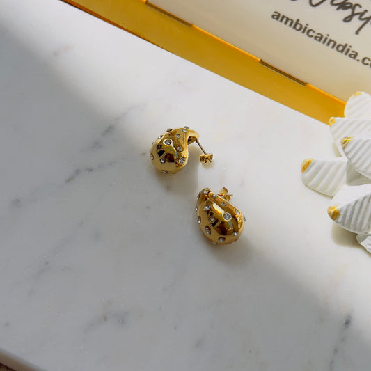 While crystals studded drop earrings
